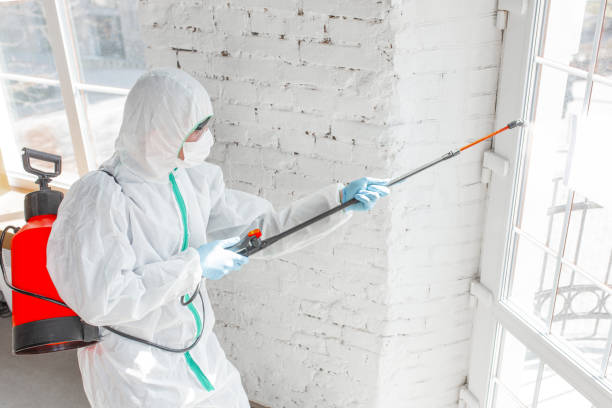 Best Biohazard Mold Removal  in Becker, MN